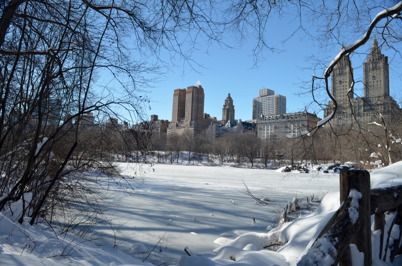 Illustration for article titled Central Park: After the Storm
